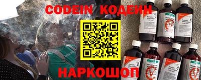 индика Кингисепп