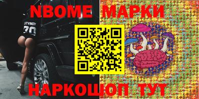 индика Кингисепп
