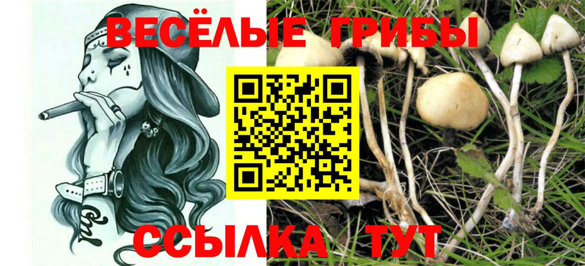 Галлюциногенные грибы MAGIC MUSHROOMS  Вход с VPN  Изобильный 