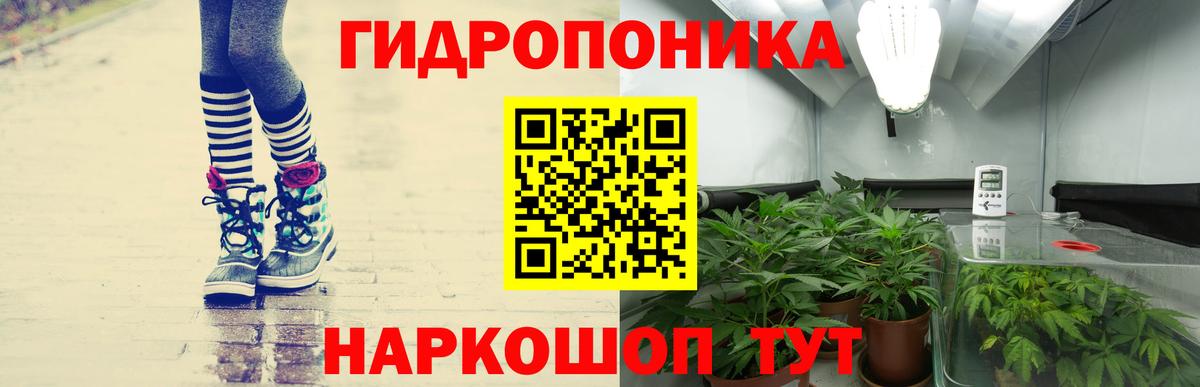 Марихуана планчик  МАРИХУАНА гибрид  Вход с VPN  Каннабис индика  Изобильный  Канабис план 